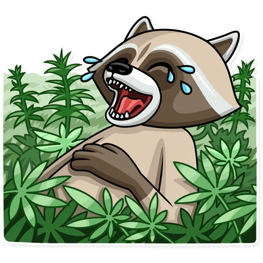 What happens if you get caught with a fake ID by Fakeidman