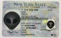 New York fake id card made by idgod.