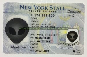 New York fake id card made by idgod.